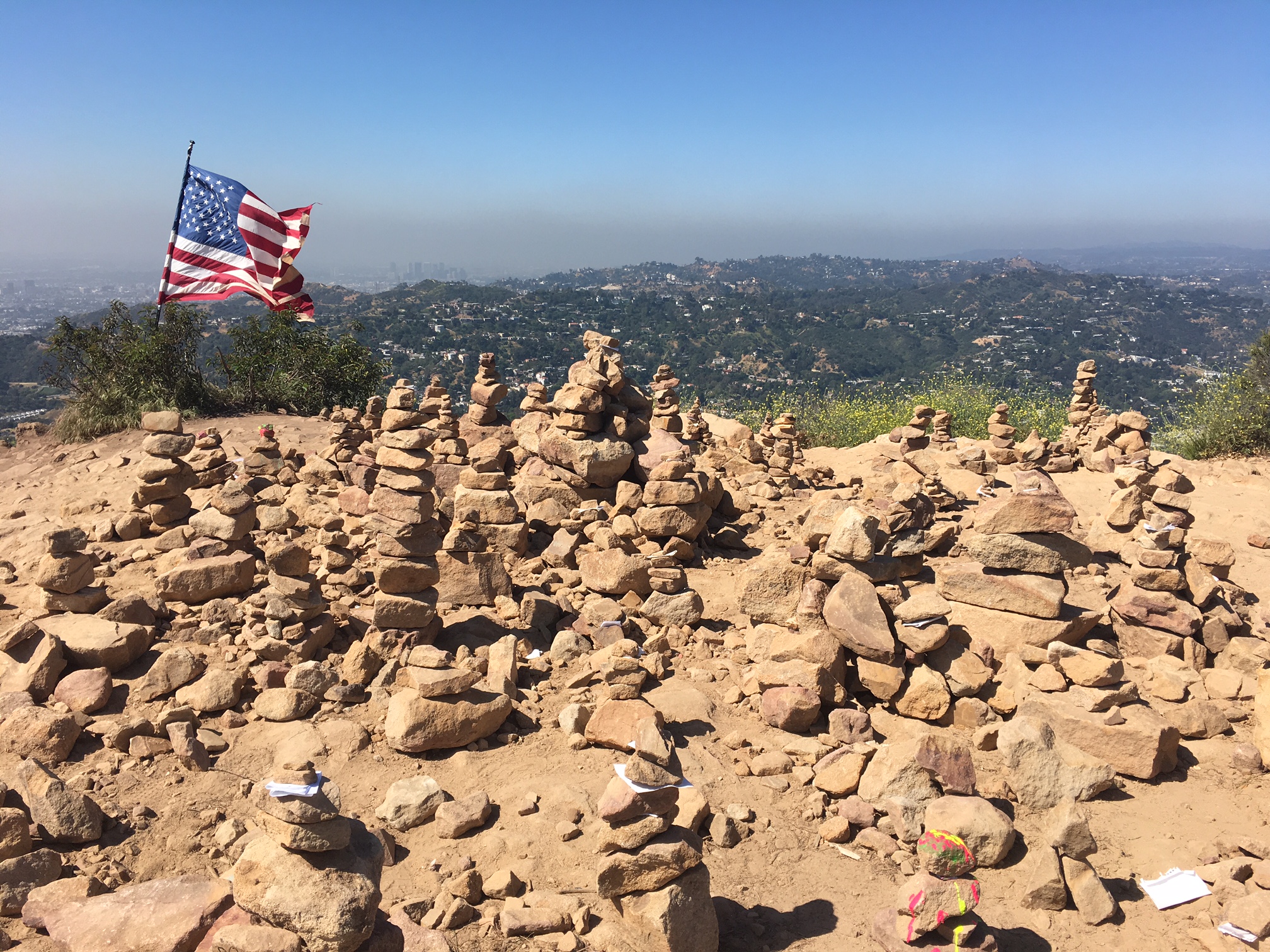 Wisdom Tree Hike