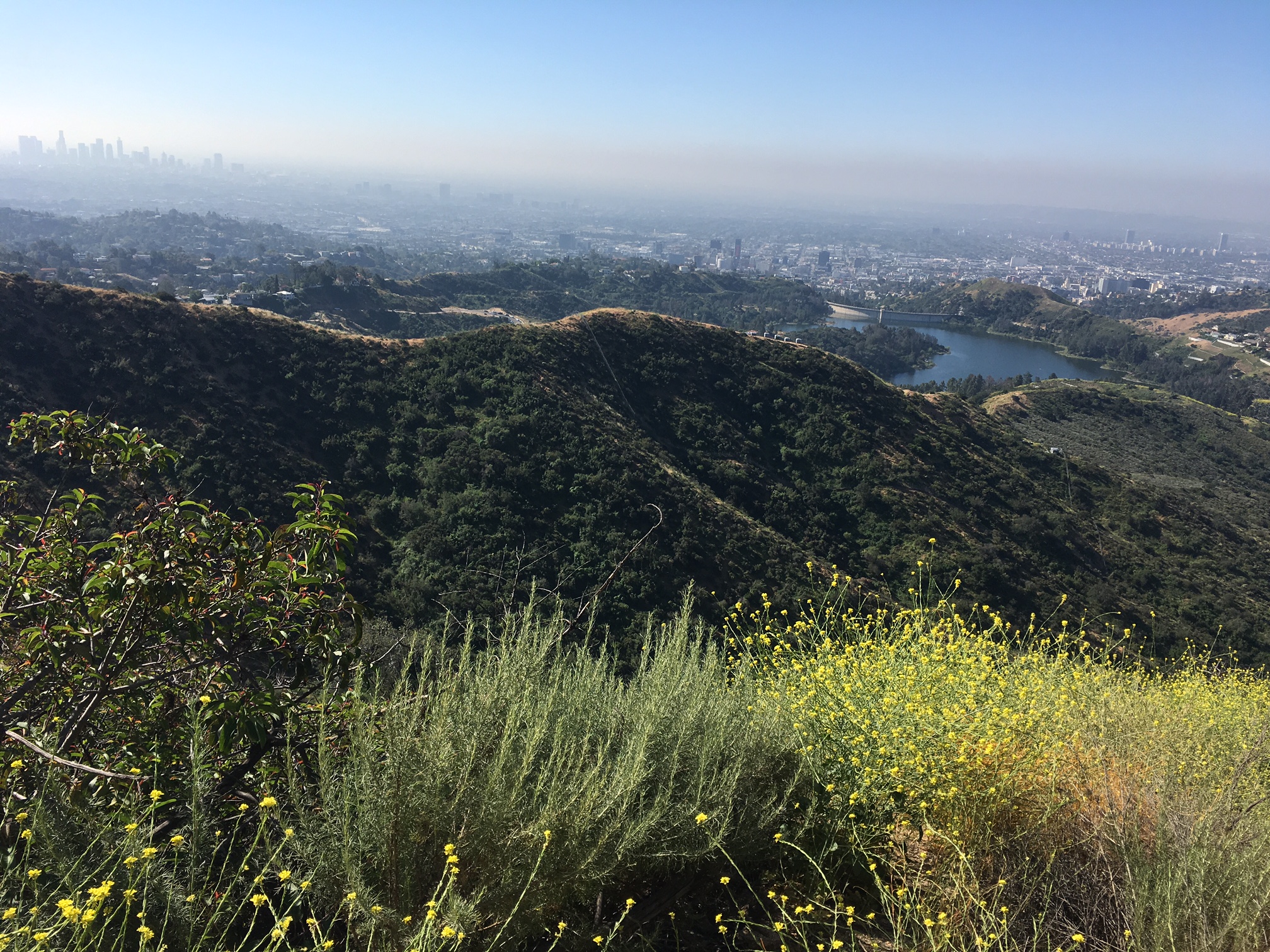 Wisdom Tree Hike